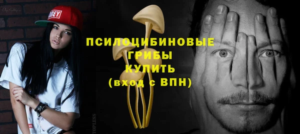 не бодяженный Аркадак