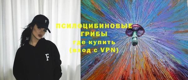 ПСИЛОЦИБИНОВЫЕ ГРИБЫ Алзамай