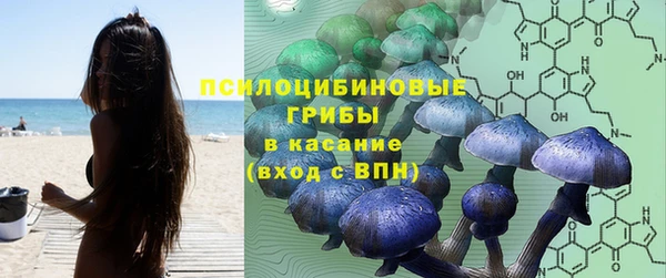 ПСИЛОЦИБИНОВЫЕ ГРИБЫ Алзамай