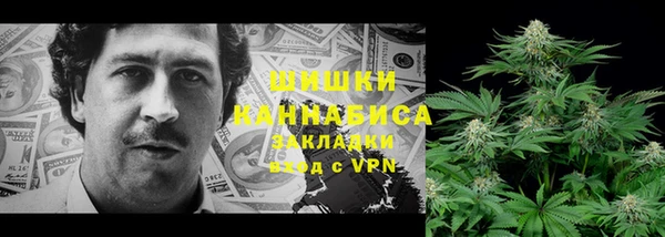 ПСИЛОЦИБИНОВЫЕ ГРИБЫ Алзамай